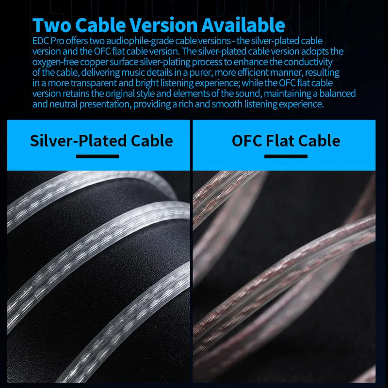 In-Ear Headphones with Large Dynamic Drivers, Detachable Cable, Microphone, Noise Cancelling