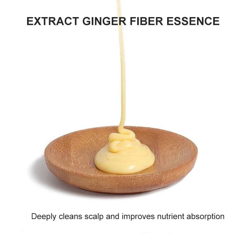 Herbal Ginger Anti-Hair Loss Shampoo for Dandruff & Oil Control 400ML