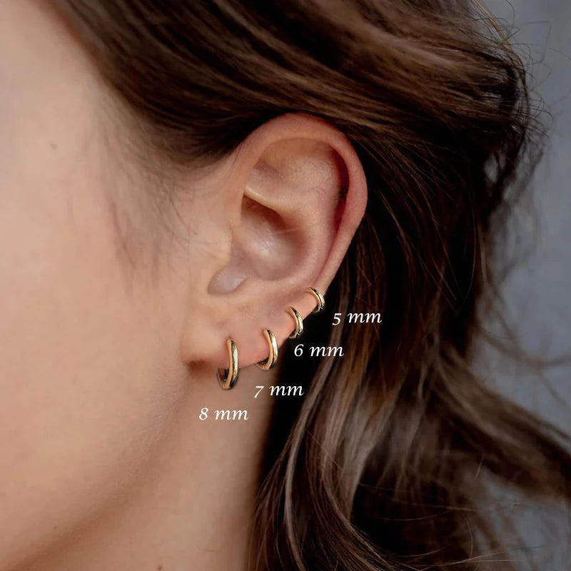 Sterling Silver Rose Gold Small Hoop Earrings for Women Girls Gift Jewelry
