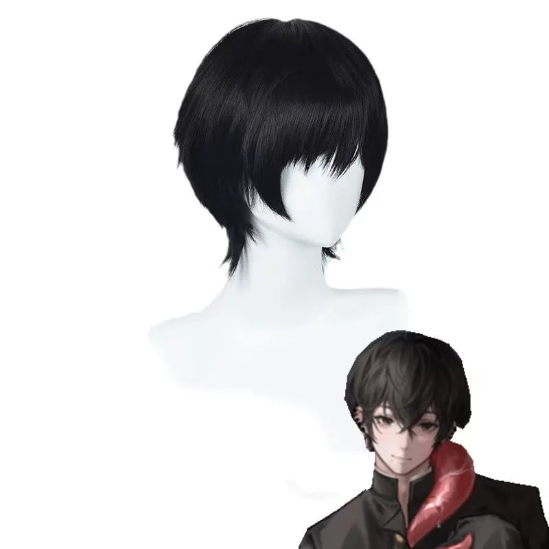 Anime Cosplay Wig 35cm Short Black Heat-Resistant Synthetic Hair for Men & Women
