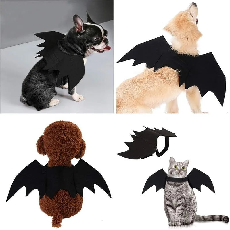 Pet Bat Wings Costume for Cats and Small Dogs Halloween Dress Up Accessories