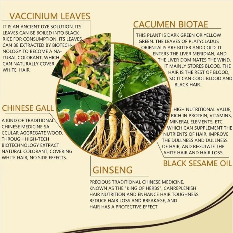 Black Hair Dye Shampoo Permanent Natural Plant Hair Color - No Harm & Easy to Use