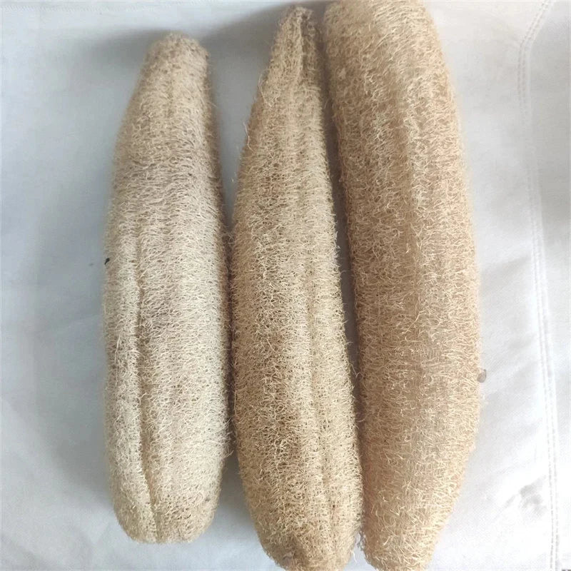 Natural Loofah Sponge for Body & Kitchen Cleaning - Multi-purpose Scrubber
