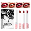 4 Color Velvet Matte Waterproof Lip Gloss Set - Long Lasting Lipstick for Women