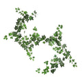 Artificial Ivy Garland 1.8m - Fake Greenery Vines for Home & Wedding Decor
