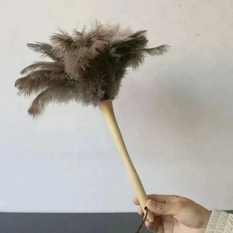 Anti-Static Ostrich Feather Duster Brush Cleaning Tool with Wooden or Plastic Handle