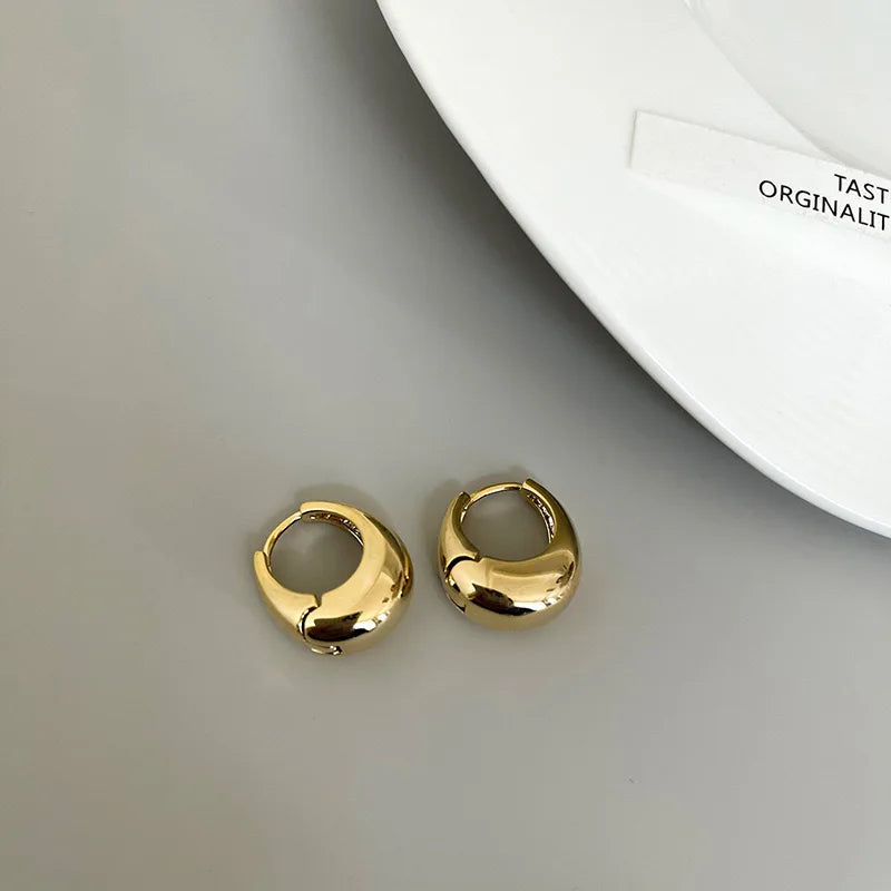 Stainless Steel Chunky Hoop Earrings for Women Girls Statement Jewelry