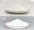 50g Reflective Powder for Screen Printing and Coating - Fluorescent Night Light Material