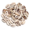Natural Sea Flower Snail Shell Beads for Jewelry Making Loose Spacer Beads DIY Crafts
