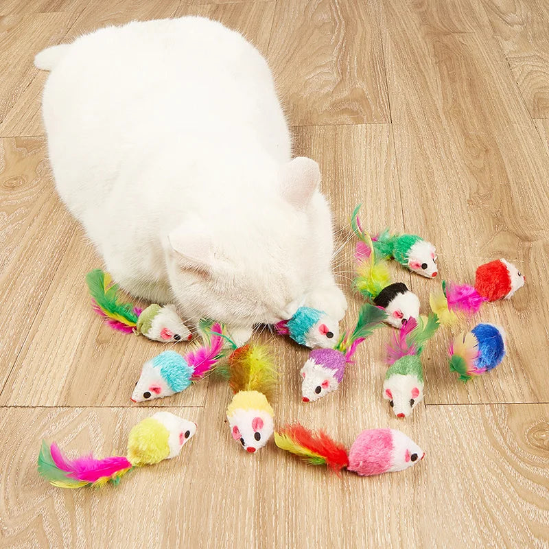 Plush Cat Toys Set - Rainbow Mouse Feather Fur Play Toys for Kittens & Cats