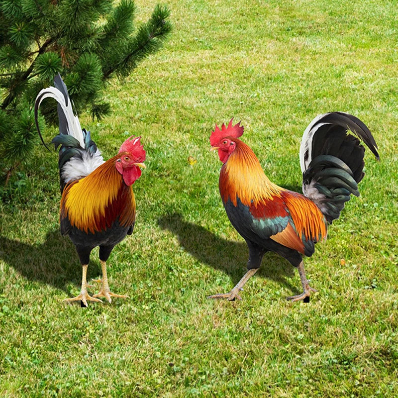 Weatherproof Garden Rooster Statue Yard Decor for Lawn & Patio Outdoor Decoration
