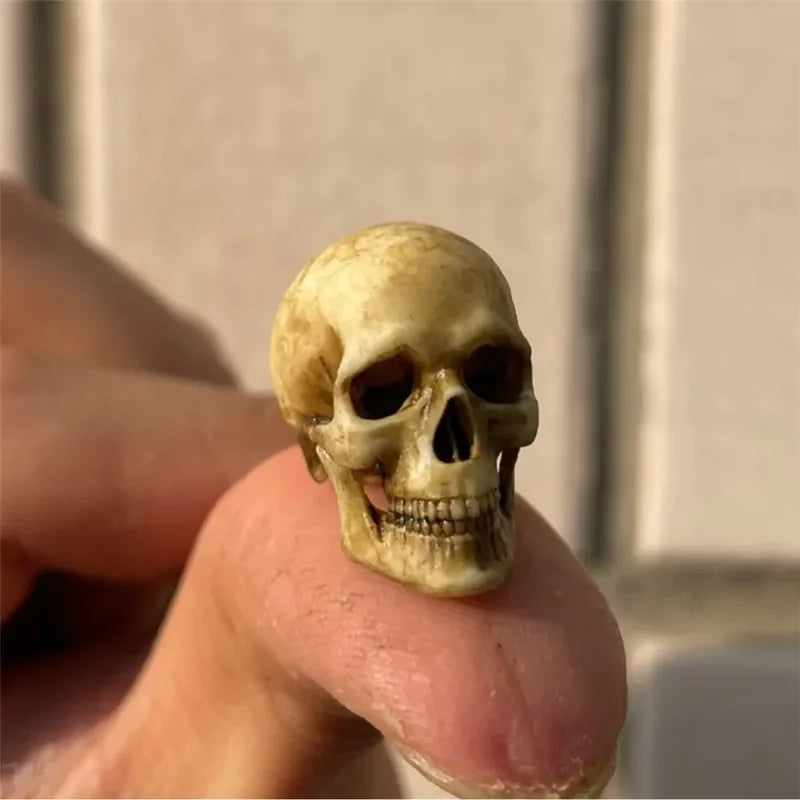 Miniature Skeleton Skull Model for Halloween Dioramas Aquarium & Home Decor - 1:12 Scale