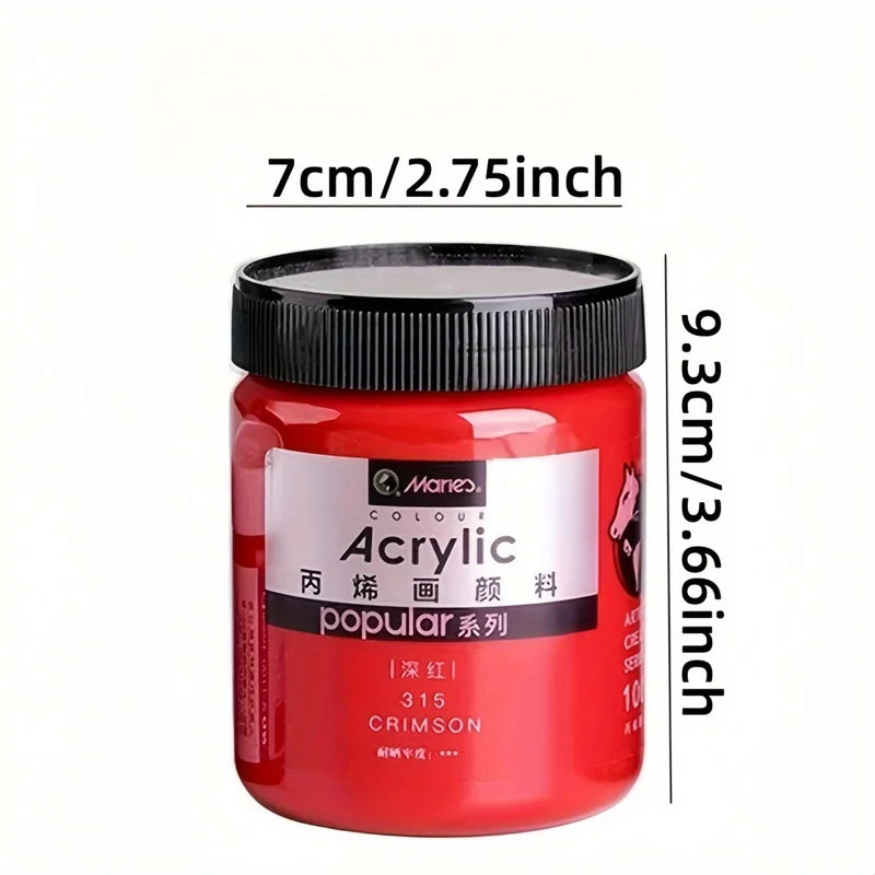 300ml Acrylic Paint for Art Wall, DIY Crafts, Hand-Painted Clothes & Shoes, Indoor Use