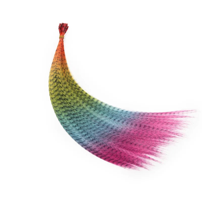 Rainbow Colorful Feather Extensions Long Straight Hairpieces for Girls - Ombre Style