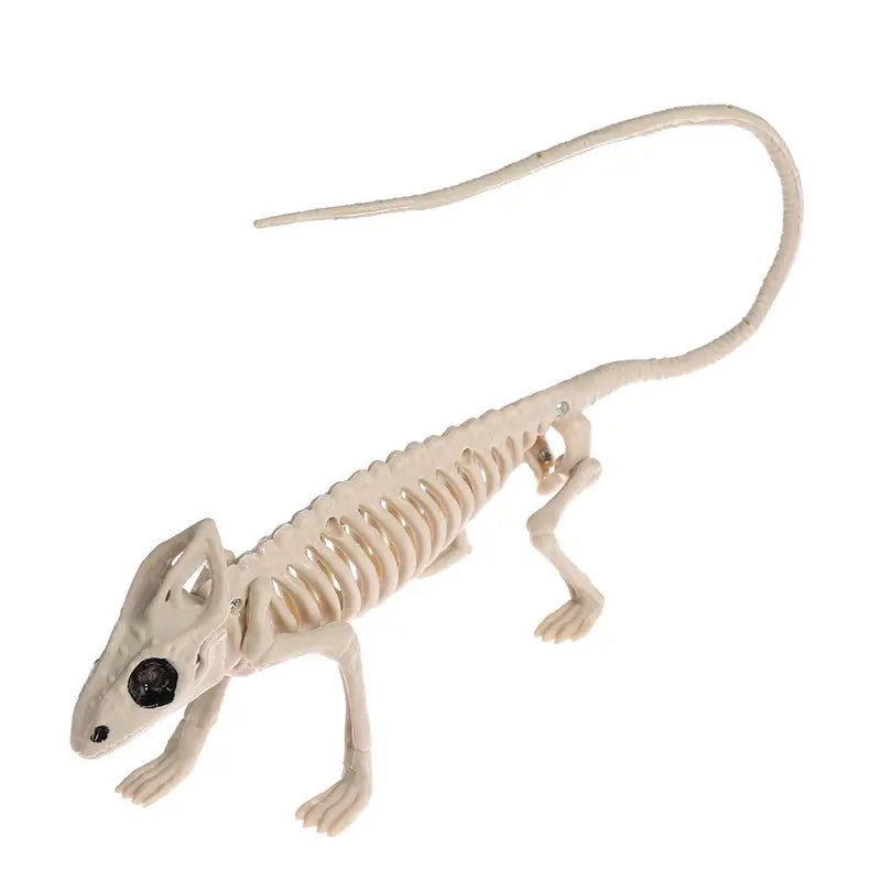 Halloween Animal Skeleton Bones Decor Set - Creepy Spider Bat Mouse Lizard Props