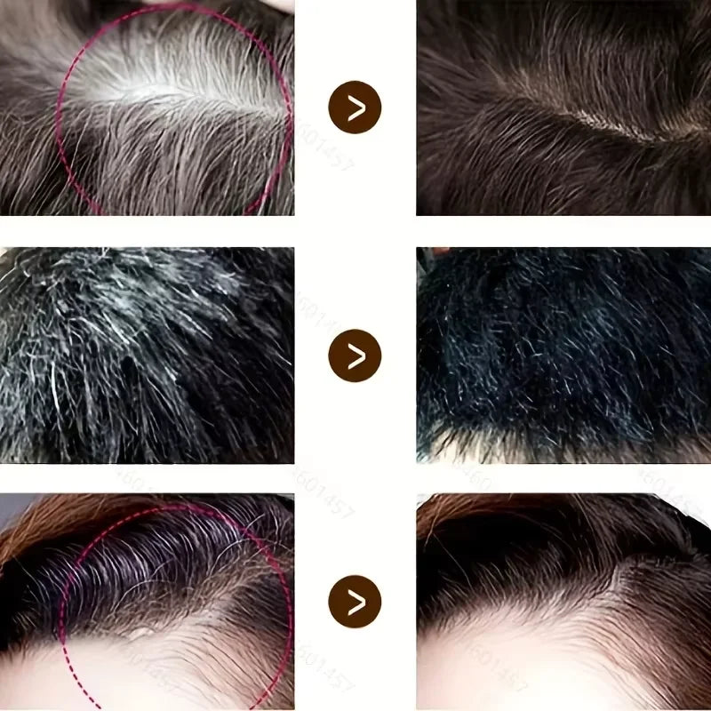 Temporary Hair Color Pen - Instant Gray & White Cover, Long-Lasting, Portable
