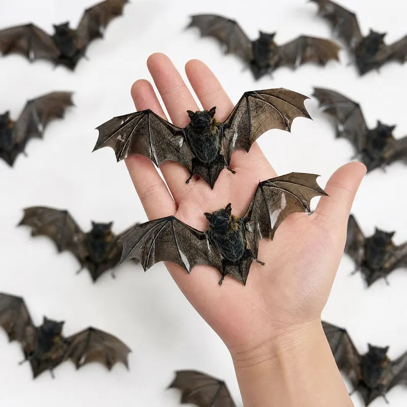 12pcs Halloween Bat Wall Stickers Waterproof PVC Decals for Home & Party Decor