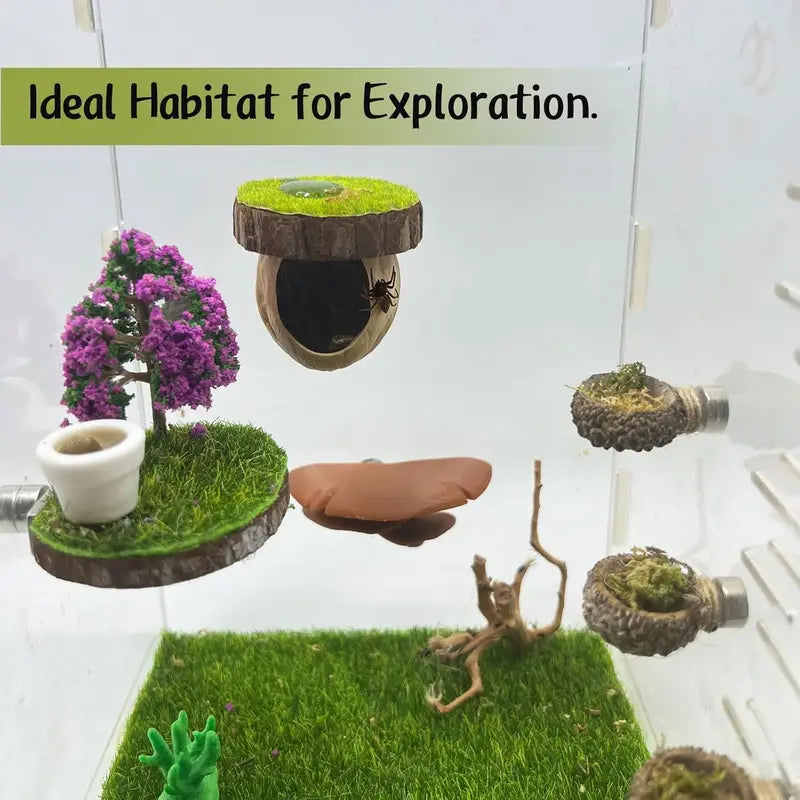 Jumping Spider Enclosure Kit with Hideout & Decor - Natural Habitat Accessories