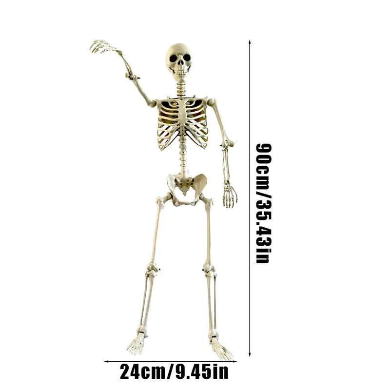 Life Size Human Skeleton Prop for Halloween Haunted House Decor - Movable Joints