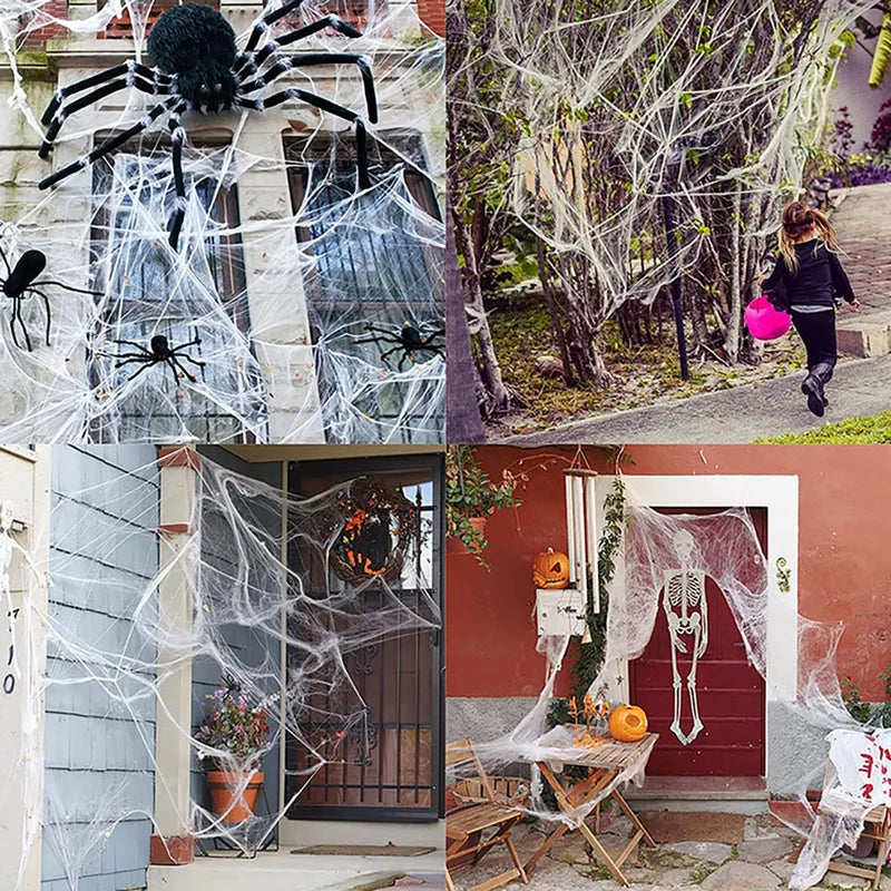 Halloween Spider Web Decoration Artificial Cobweb with Spider for Haunted House