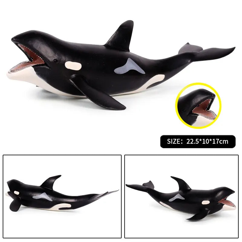 Ocean Animal Sea Life Action Figures Set - Educational Kids Toy, Multiple Colors