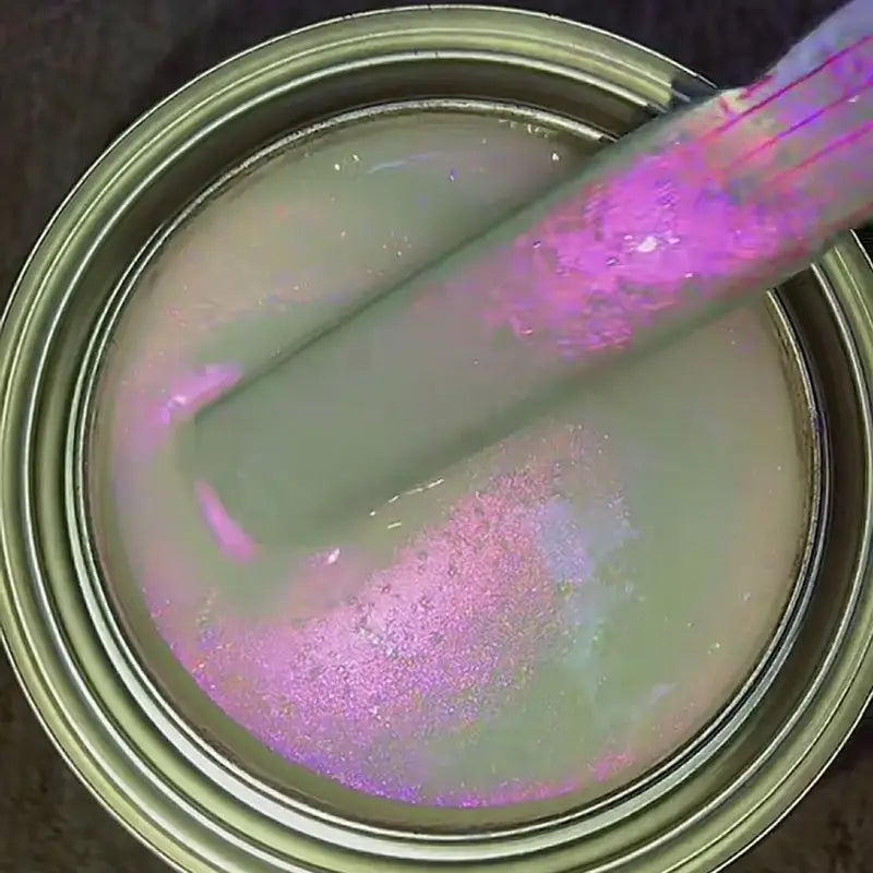 25g Iridescent Rainbow Ghost Interference Pearl Car Paint Pigment Powder - Automotive & Crafts