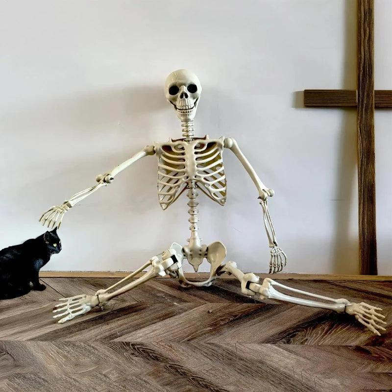 Realistic Life-Size Human Skeleton with Movable Joints for Halloween Decorations