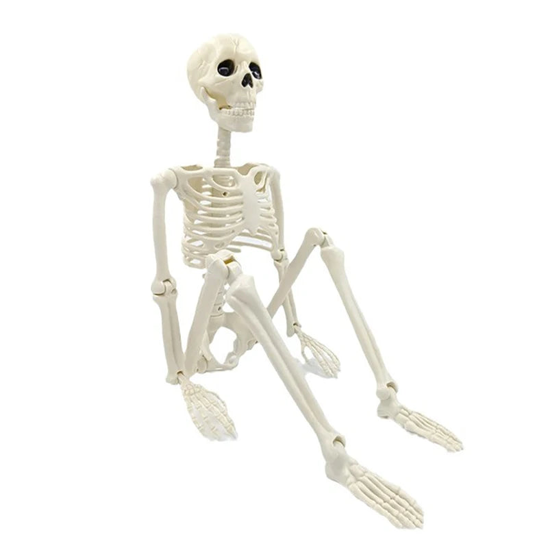 Posable Skeleton Halloween Decoration Human Bone Horror Prop