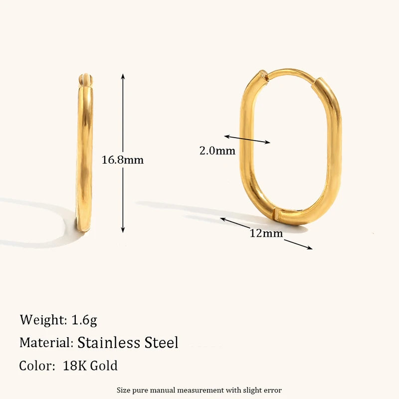 Stainless Steel Hoop Earrings for Women - Hypoallergenic & Waterproof Jewelry
