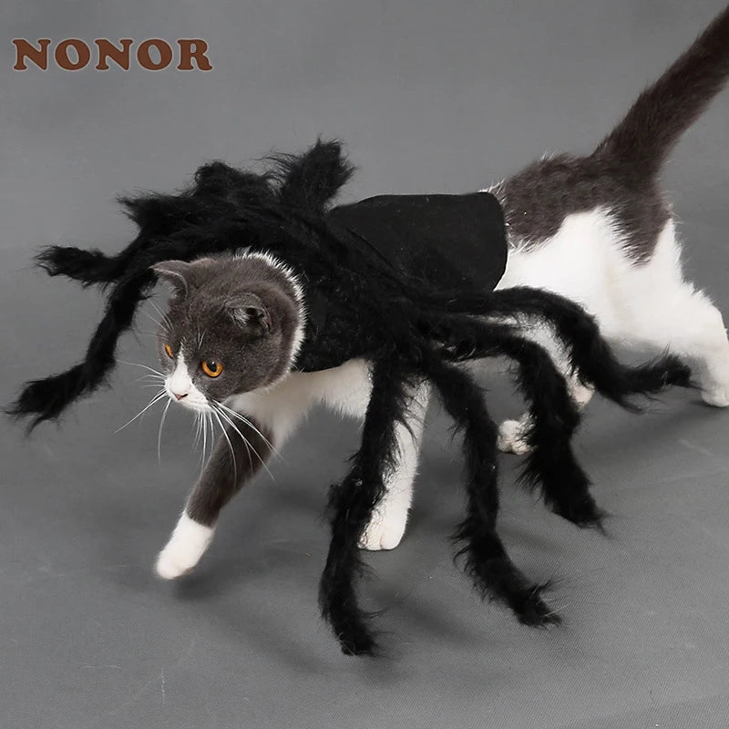 Halloween Pet Costume Spider Outfit for Small & Medium Dogs & Cats - Funny Cosplay