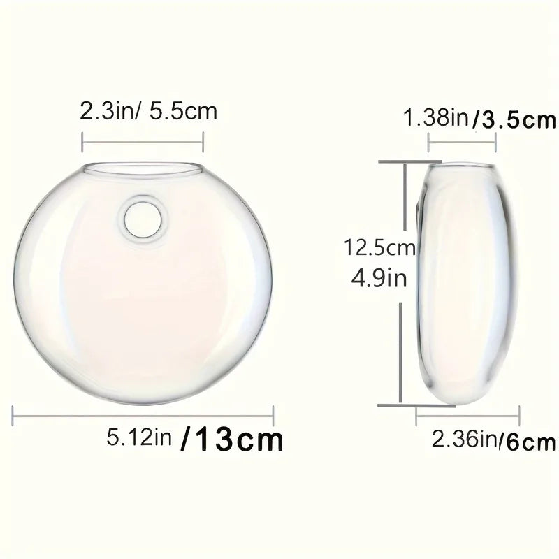 Wall Hanging Glass Terrarium with Self-Watering Hydroponic System - Handmade Round Crystal Vase