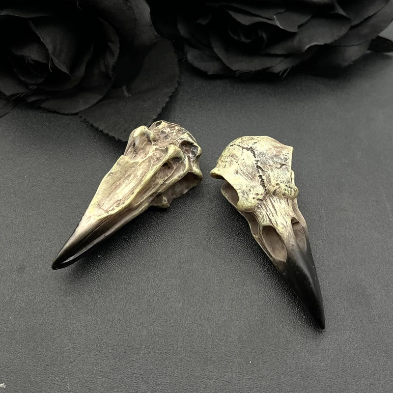 Crow Skull Necklace Pendant Set 3D Gothic Bird Jewelry Halloween Accessory