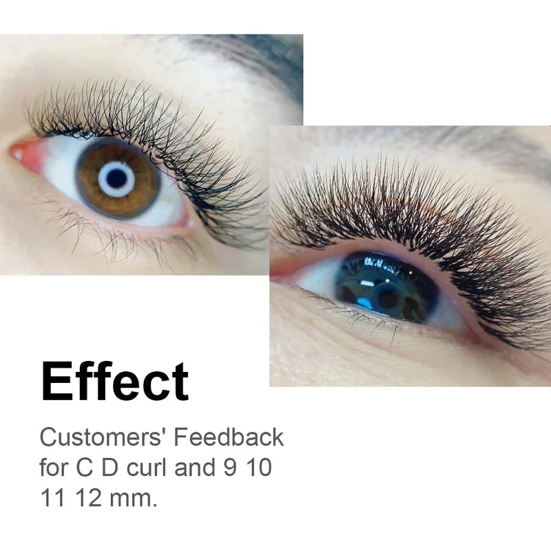 6D W Shape Natural False Eyelash Extensions - Premade Fans for Professional Lash Artists