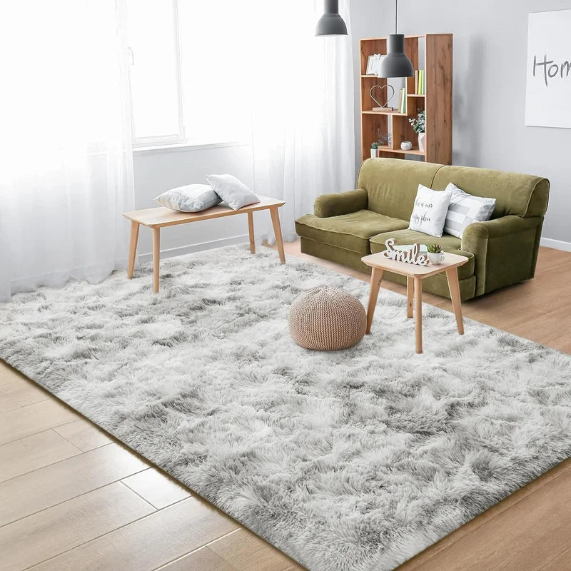 Soft Fluffy Area Rug Non-Slip Shaggy Carpet for Bedroom Living Room Home Decor