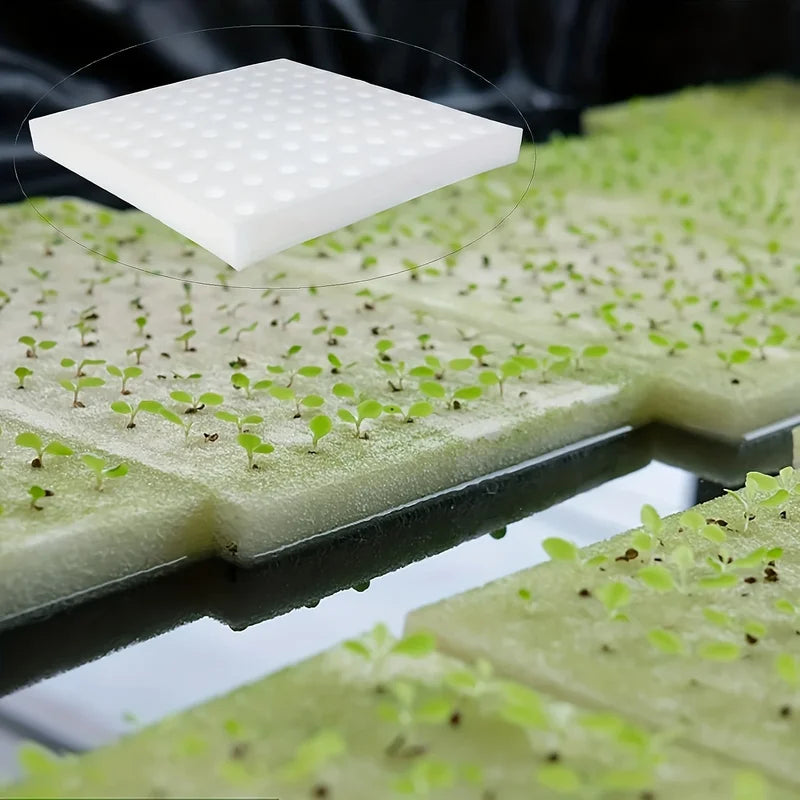 Hydroponic Plant Growing Sponges 100-500pcs Square Soilless Cultivation for Seedlings and Vegetables