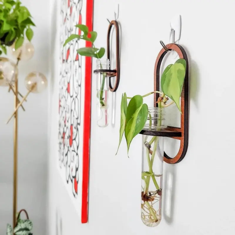 Wood Hydroponic Plant Wall Rack with Vase Holder for Home Decor