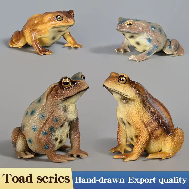 Educational Realistic Frog Figurine Hand Painted Animal Model Toy for Kids