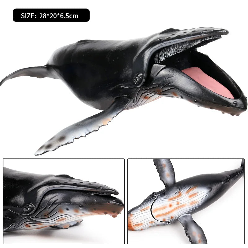 Ocean Animal Sea Life Action Figures Set - Educational Kids Toy, Multiple Colors