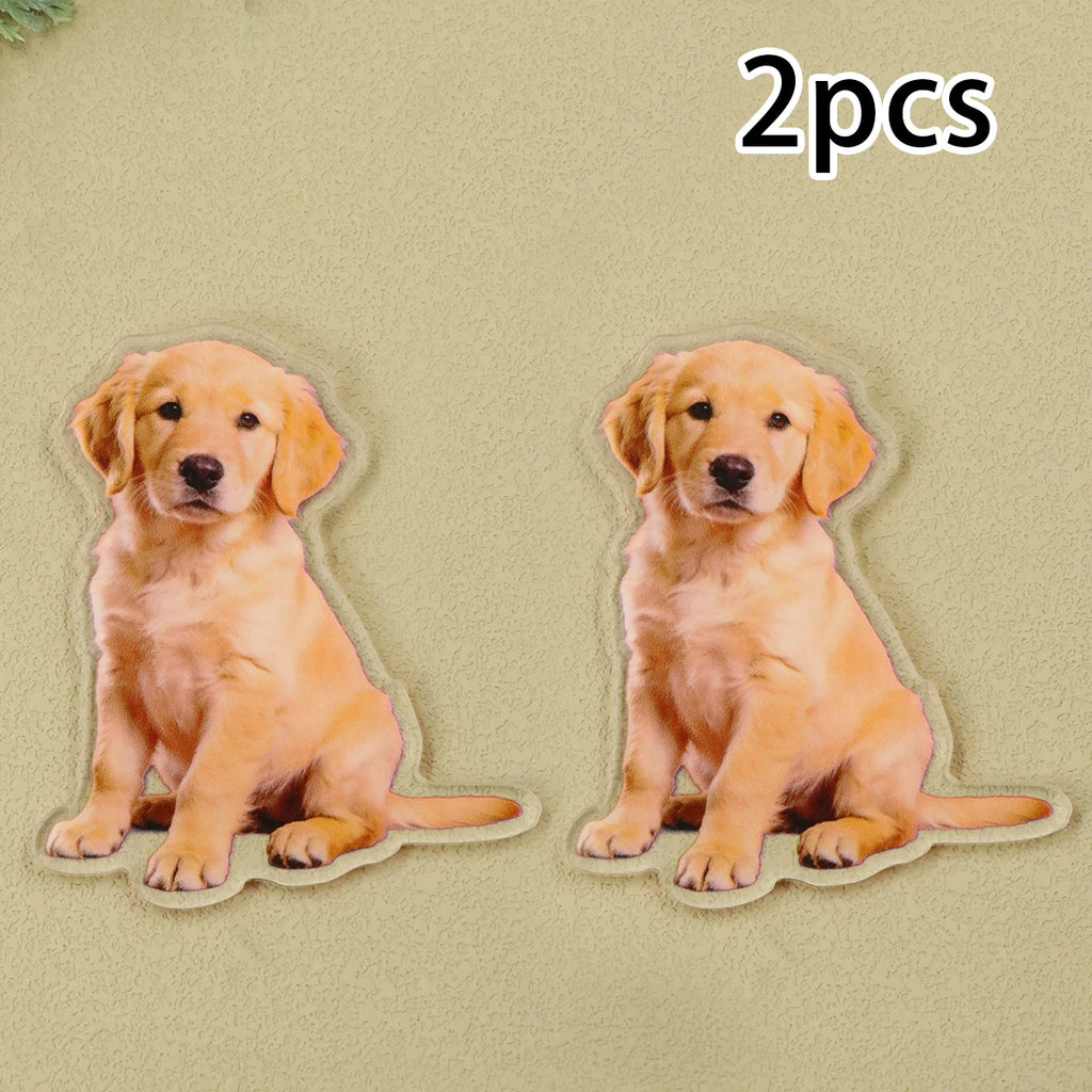 Personalized Photo Fridge Magnets - Custom Strong Magnetic Decor