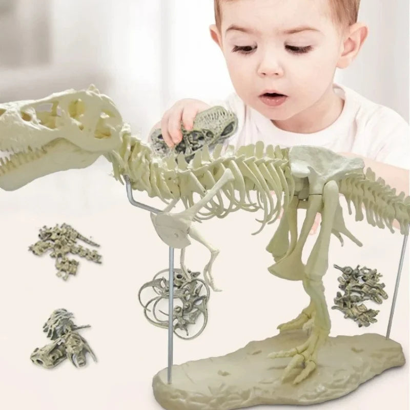 Large Dinosaur Skeleton Toy Model for Kids - DIY Fossil Skeleton Decoration