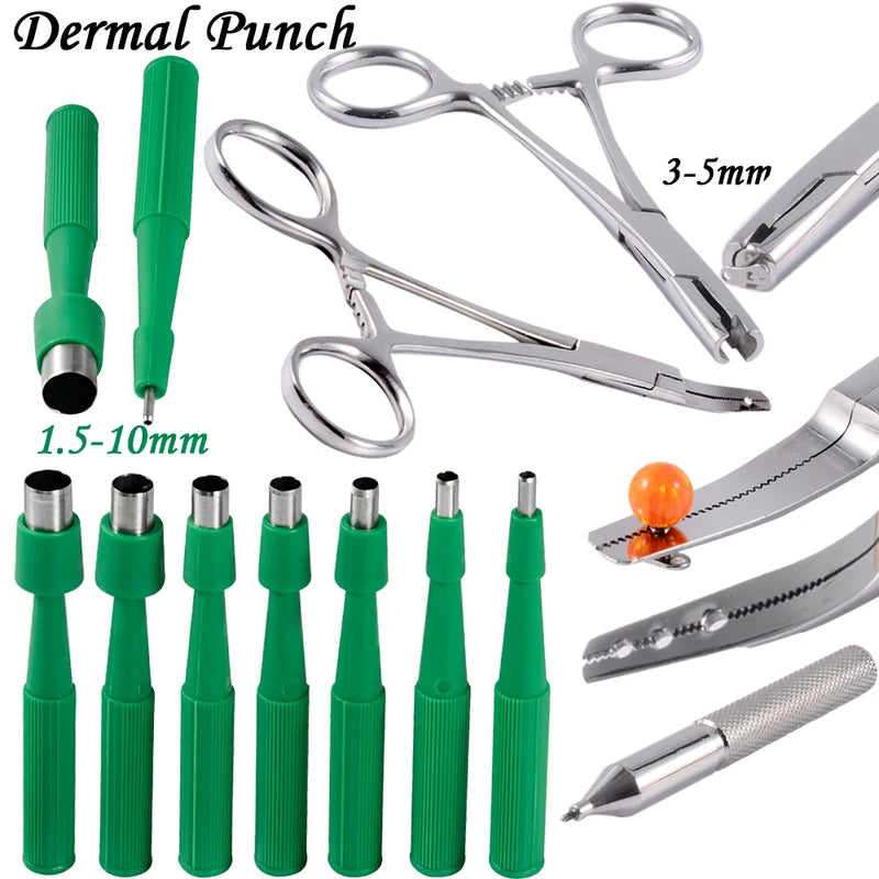 Disposable Dermal Punch Biopsy Tool for Skin Sampling - Surgical Steel