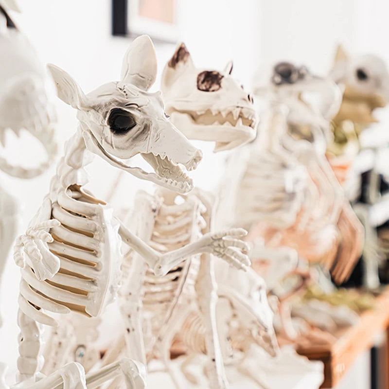 Halloween Dog Skeleton Decoration Spooky Animal Bones Indoor Outdoor US 2025