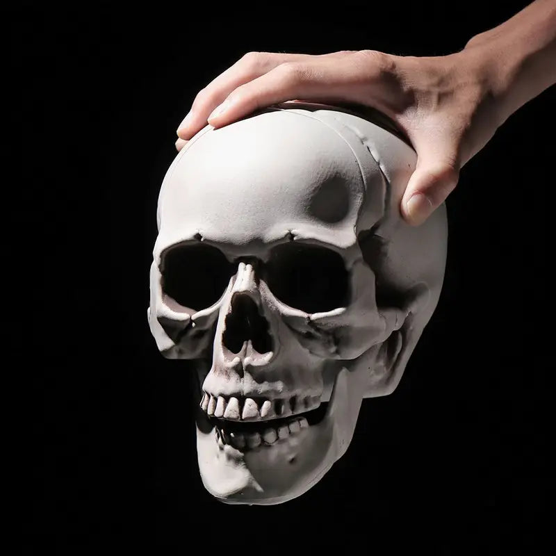 Plastic Skeleton Skull Halloween Props Hanging Decor for Parties & Events