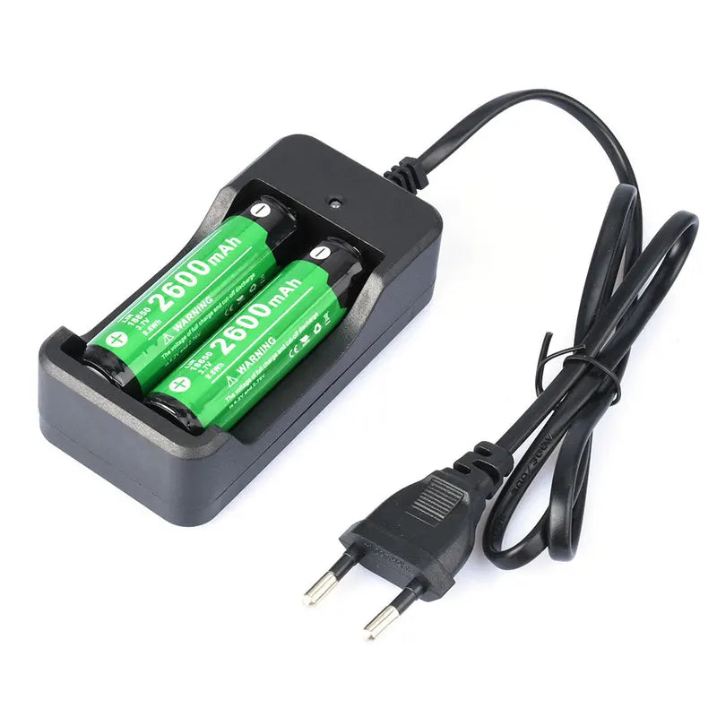 18650 Battery Charger EU Plug 2 Slot Fast Rechargeable Lithium Battery Power Adapter