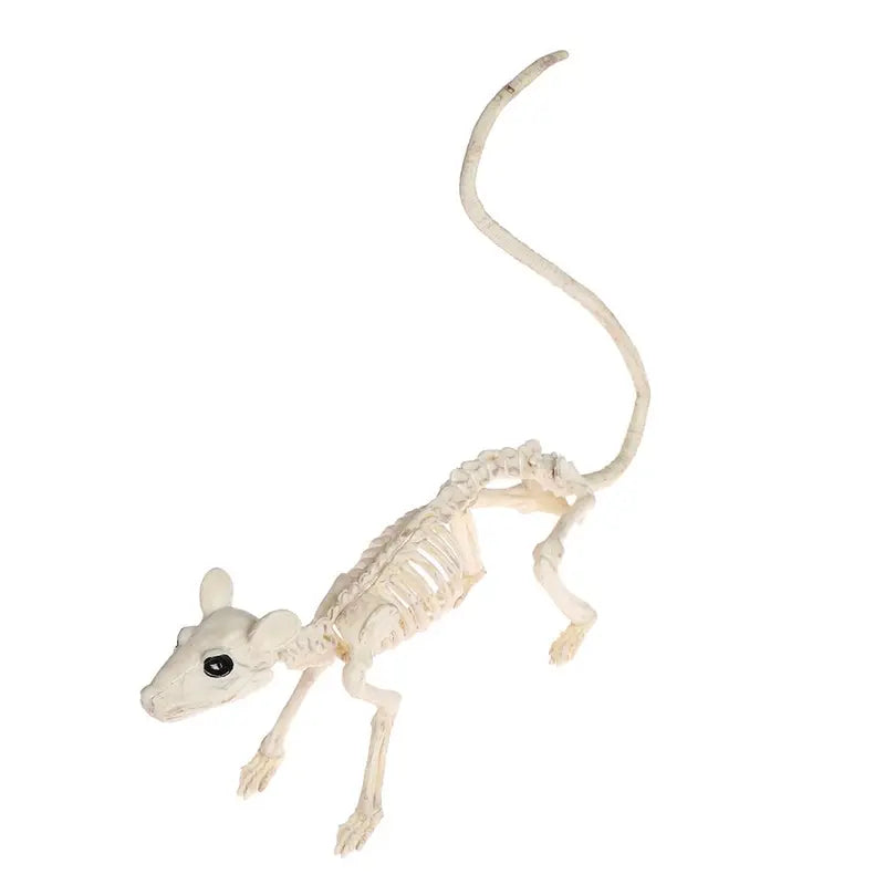 Halloween Animal Skeleton Bones Decor Set - Creepy Spider Bat Mouse Lizard Props