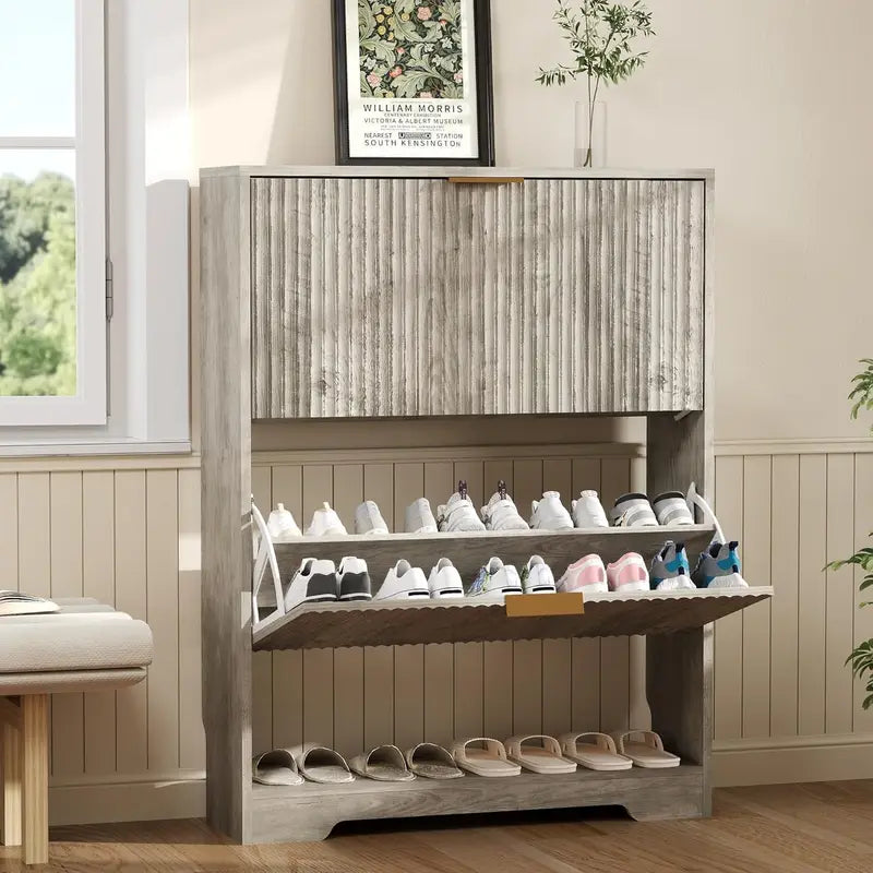 Slim Modern Shoe Storage Cabinet with 2 Drawers & Adjustable Shelf