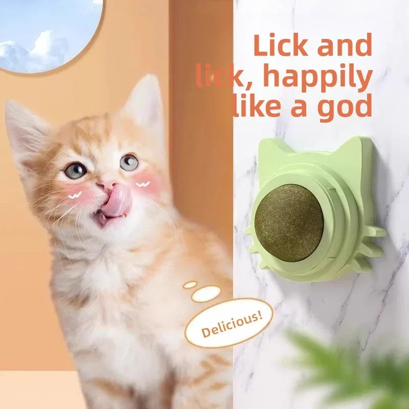 Rotatable Catnip Wall Scratcher Toys with Treats for Cats - Multiple Colors