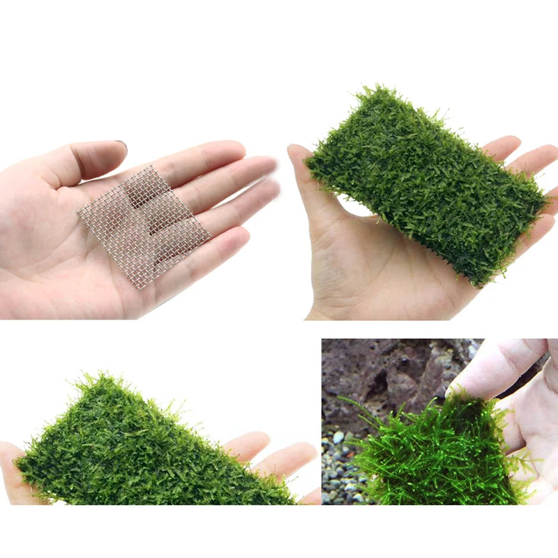 Aquarium Moss Tree Mesh & Sponge Decorations for Fish Tanks - Sturdy Mesh Pad