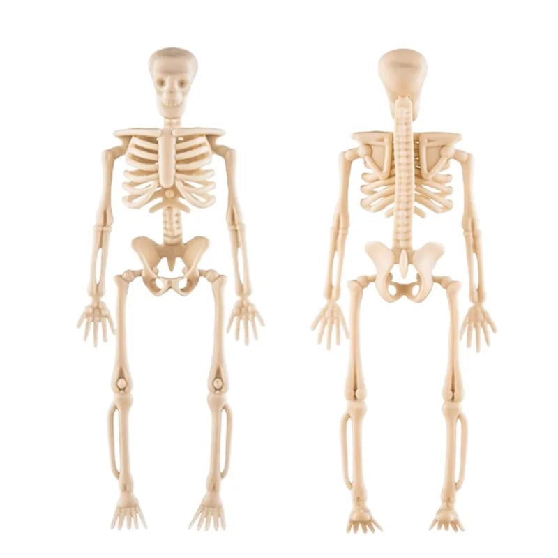 Halloween Movable Skeleton Decorations Set - DIY Spooky Skeleton Props for Parties