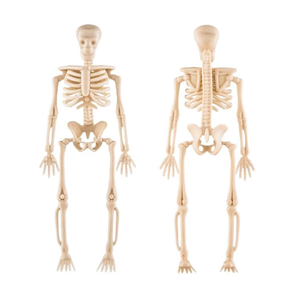 Halloween Movable Skeleton Decorations Set - DIY Spooky Skeleton Props for Parties